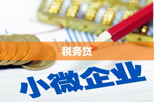 恭城税务贷