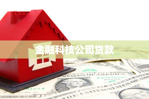 恭城金融科技公司贷款