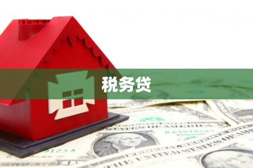 恭城税务贷