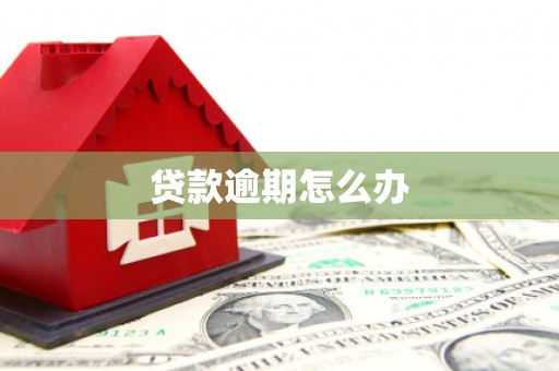 恭城贷款逾期怎么办