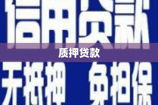 恭城质押贷款