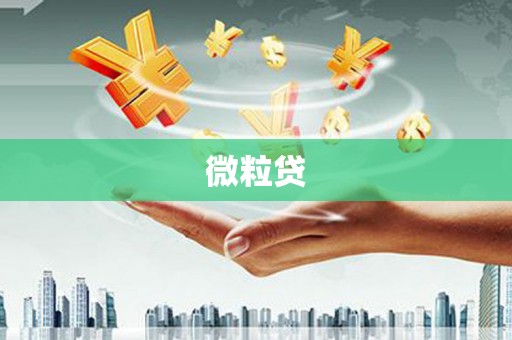 恭城微粒贷