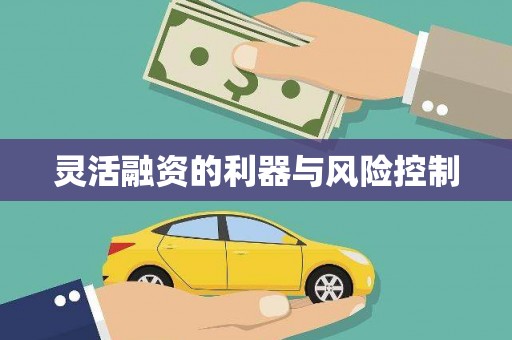 恭城灵活融资的利器与风险控制