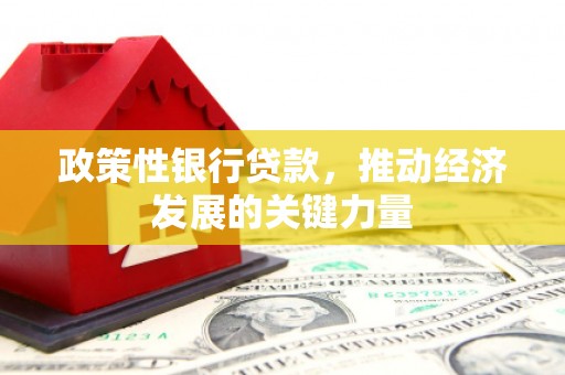 恭城政策性银行贷款，推动经济发展的关键力量