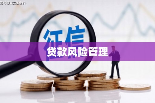 恭城贷款风险管理