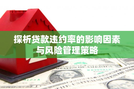 恭城探析贷款违约率的影响因素与风险管理策略