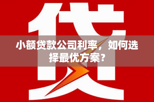 恭城小额贷款公司利率，如何选择最优方案？