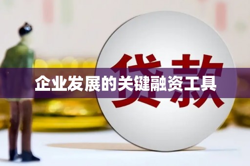 恭城企业发展的关键融资工具