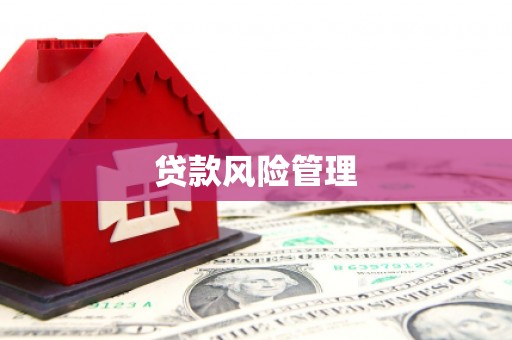 恭城贷款风险管理