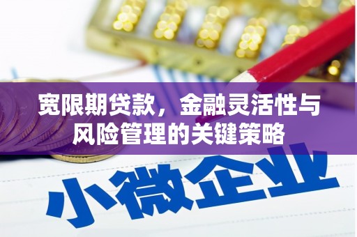 恭城宽限期贷款，金融灵活性与风险管理的关键策略