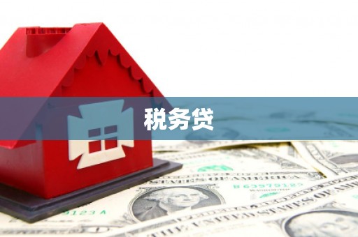 恭城税务贷