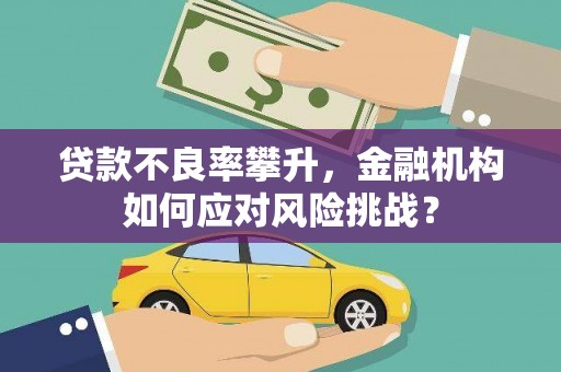 恭城贷款不良率攀升，金融机构如何应对风险挑战？