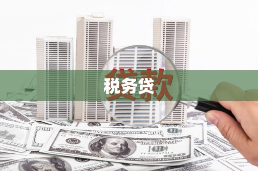 恭城税务贷