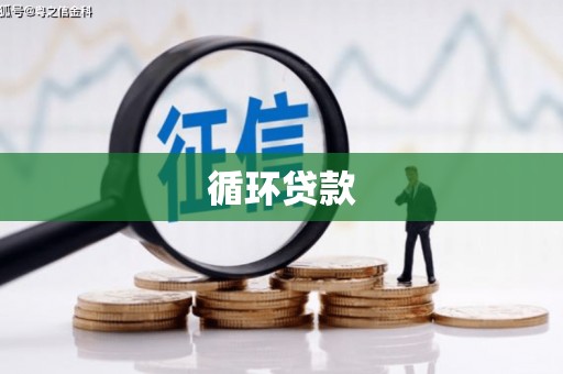 恭城循环贷款