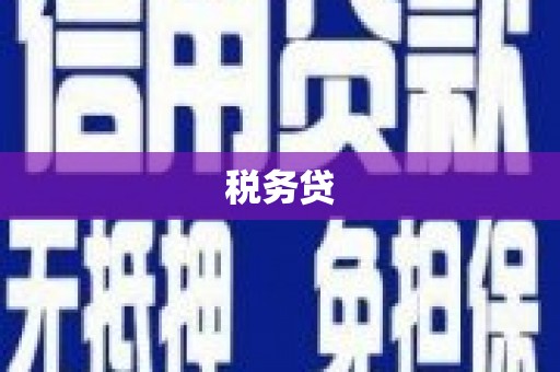 恭城税务贷
