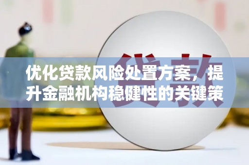恭城优化贷款风险处置方案，提升金融机构稳健性的关键策略