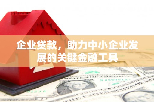 恭城企业贷款，助力中小企业发展的关键金融工具