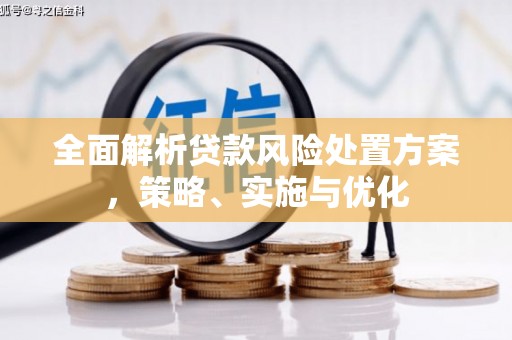 恭城全面解析贷款风险处置方案，策略、实施与优化