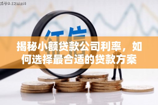 恭城揭秘小额贷款公司利率，如何选择最合适的贷款方案