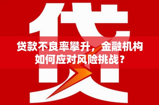 恭城贷款不良率攀升，金融机构如何应对风险挑战？