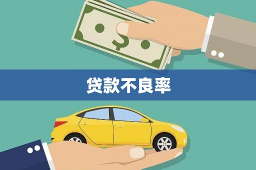 恭城贷款不良率