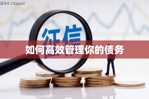 恭城如何高效管理你的债务