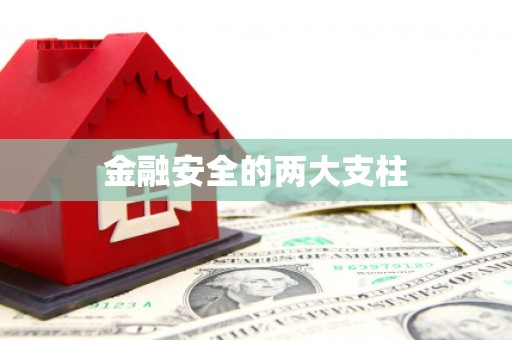 恭城金融安全的两大支柱