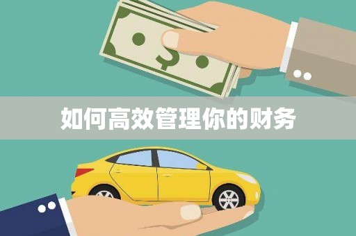 恭城如何高效管理你的财务