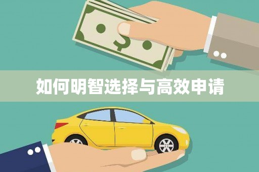 恭城如何明智选择与高效申请