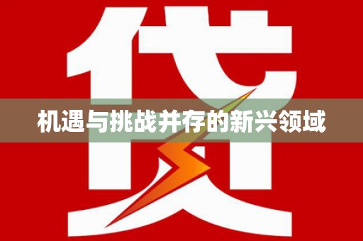 恭城机遇与挑战并存的新兴领域