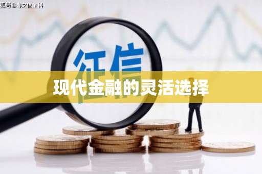 恭城现代金融的灵活选择
