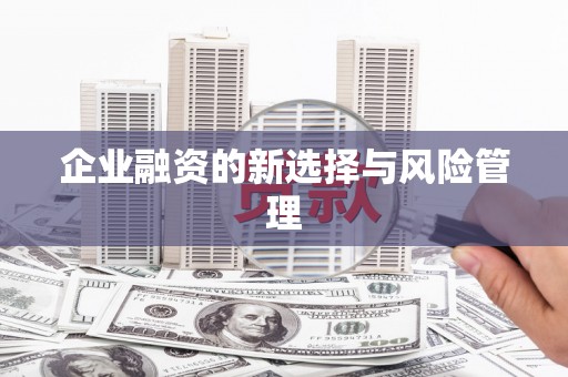 恭城企业融资的新选择与风险管理