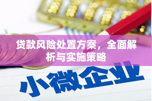 恭城贷款风险处置方案，全面解析与实施策略