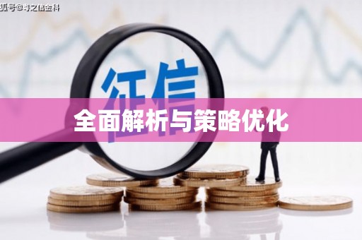 恭城全面解析与策略优化